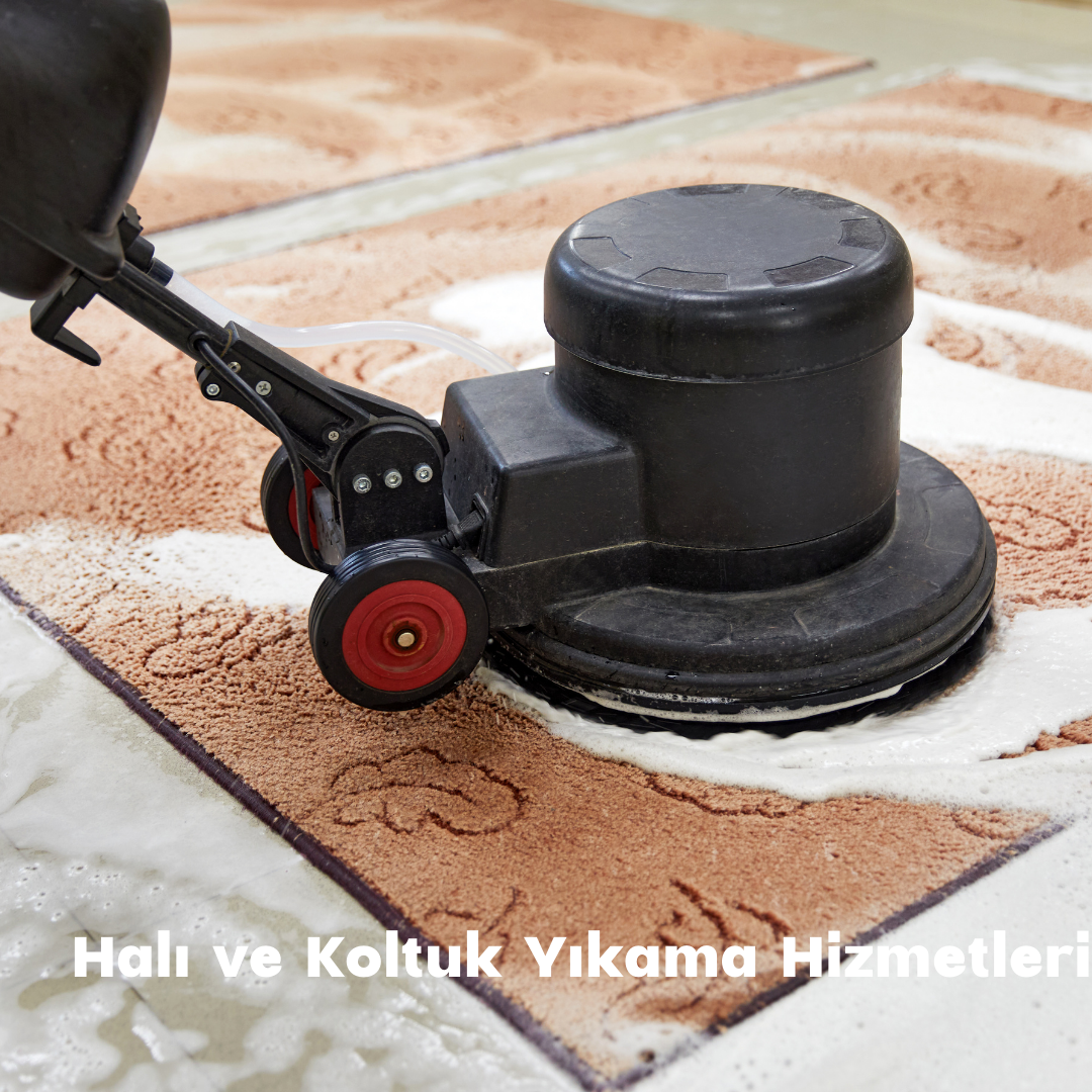  Halı ve Koltuk Yıkama Hizmetleri